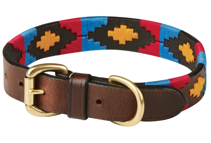 Weatherbeeta Polo Leather Dog Collar Cowdray Brown-Pink-Blue-Yellow